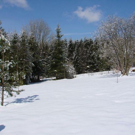 La Cense De Reniere Villa Ferrières Dış mekan fotoğraf